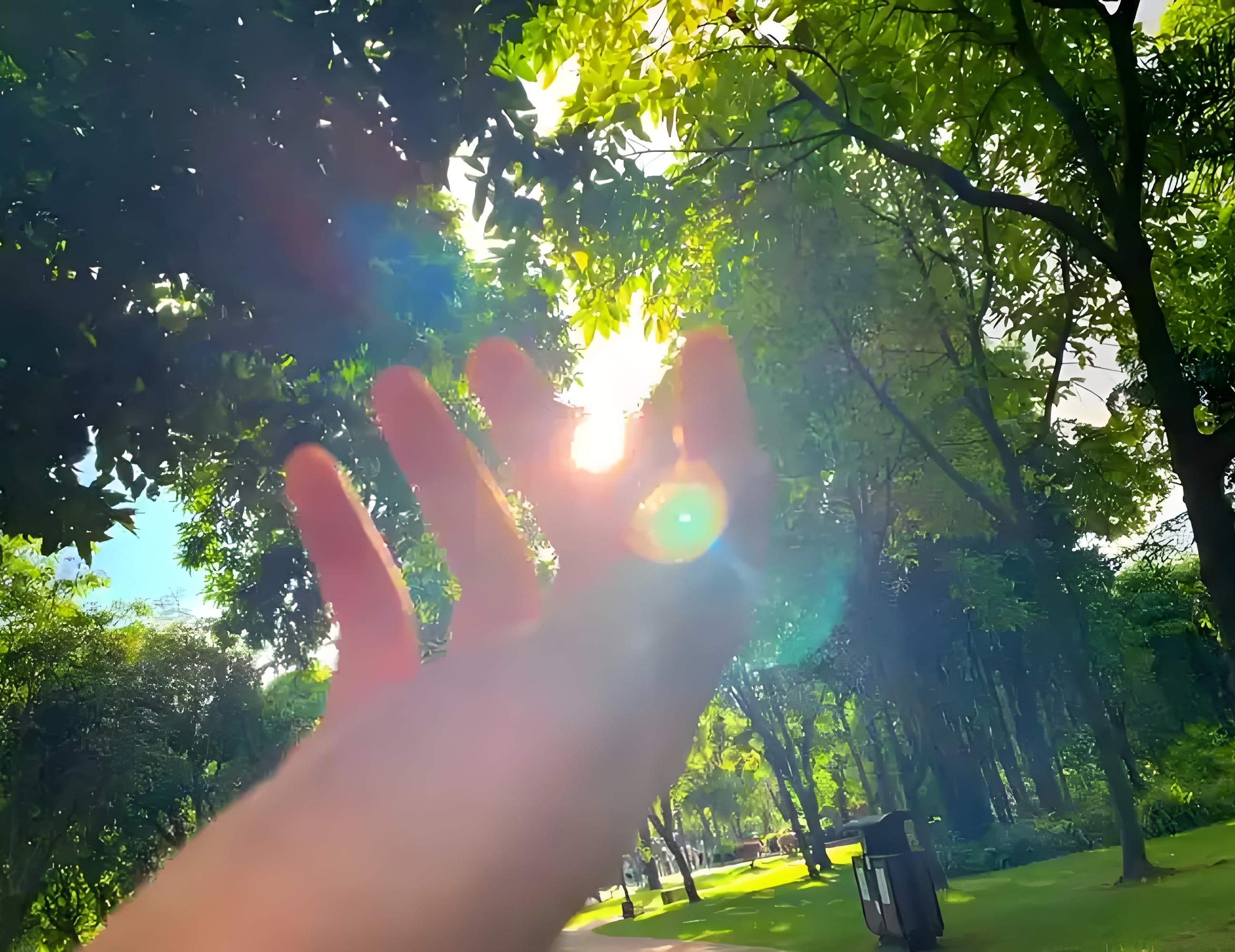微信图片_20250905110734_121_181.jpg