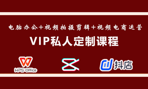  VIP私人定制课程：电脑办公+短视频拍